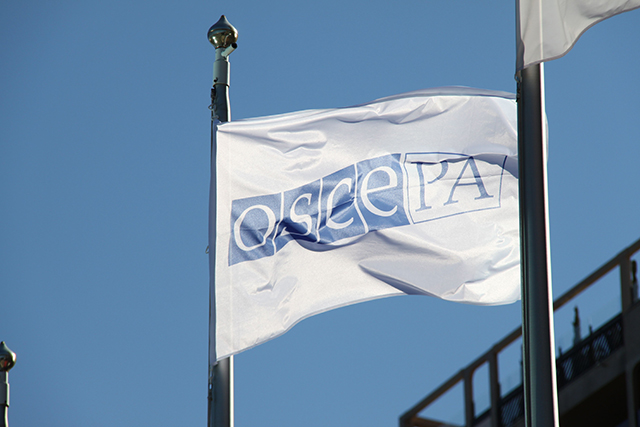 Etyjin parlamentaarisen yleiskokouksen lippu liehumassa sinistä taivasta vasten.